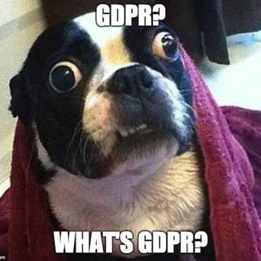 Our top GDPR-related animal memes